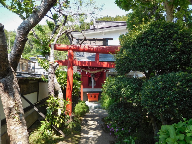 DSCN9010