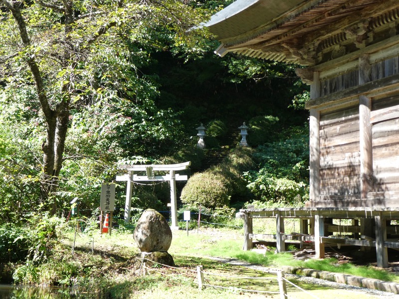 P1030365