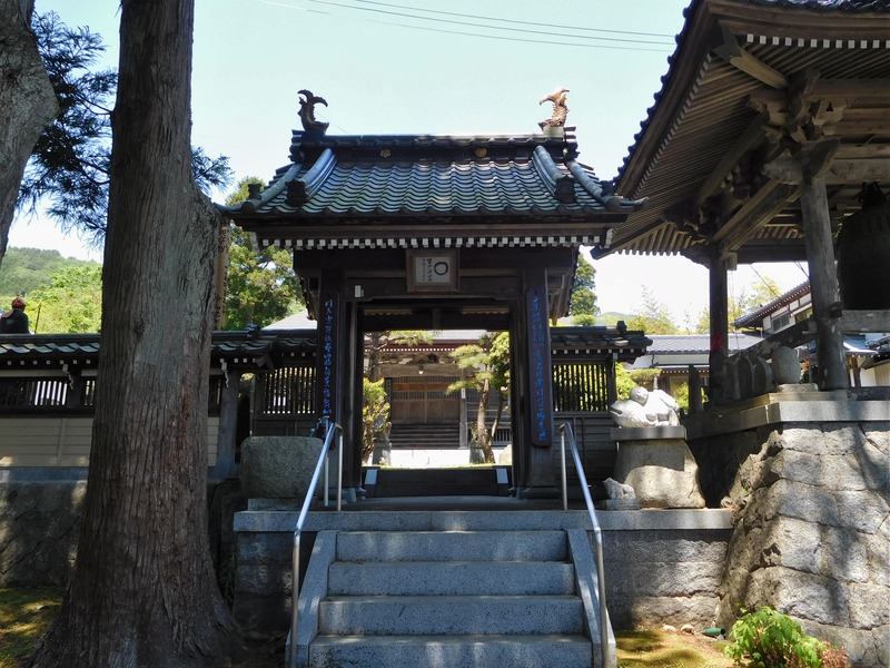 DSCN8990