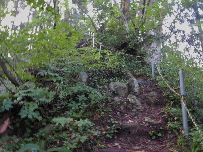 DSCN9261