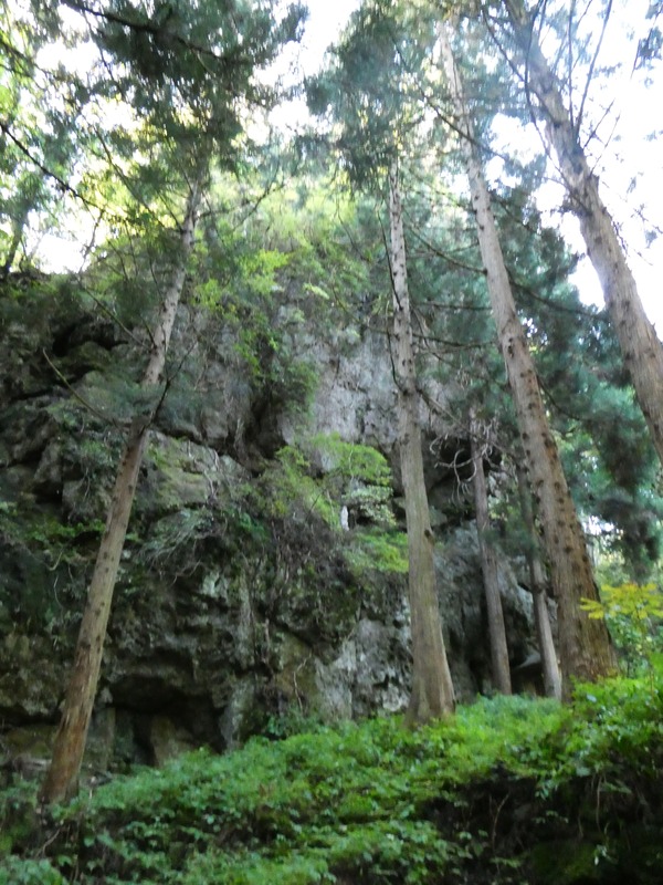 P1030312