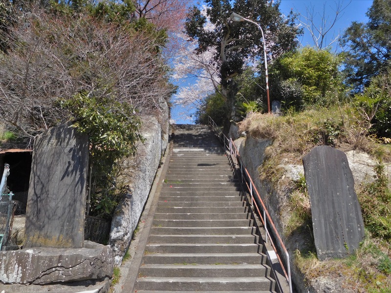 DSCN0230