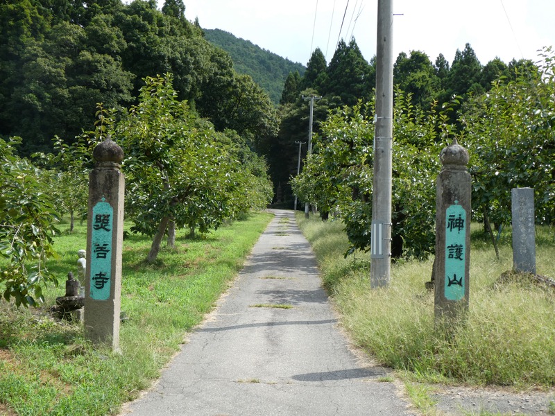 P1030205