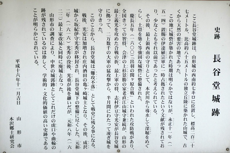 P1010339