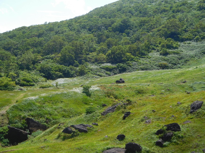 5fa049c8.jpg