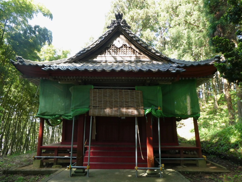 P1020663