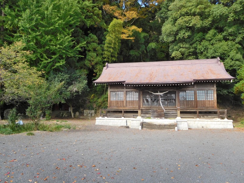 DSCN8891