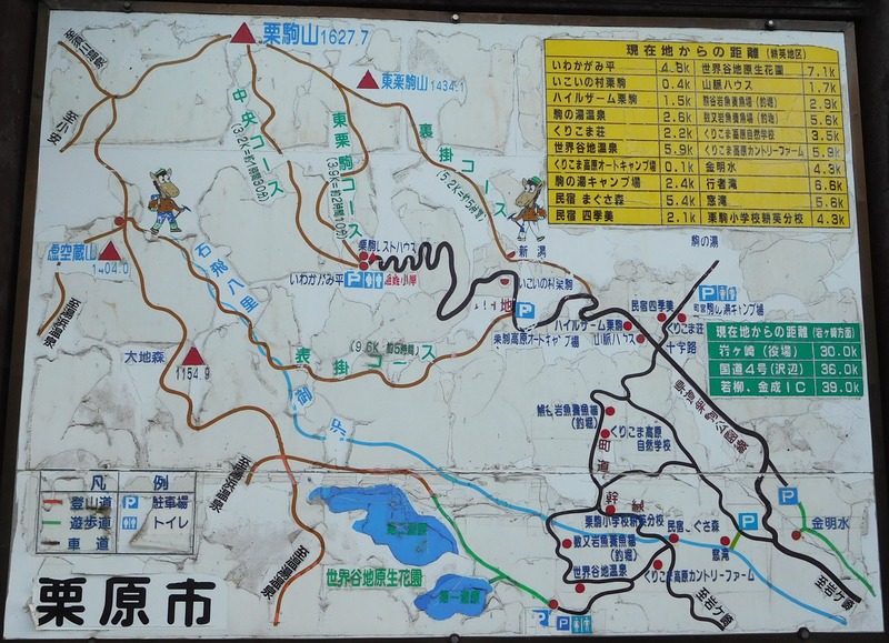 688c9951.jpg