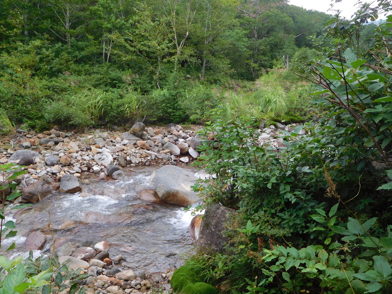 6d1137ac.jpg