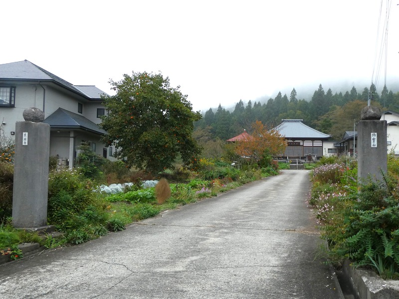 P1030453