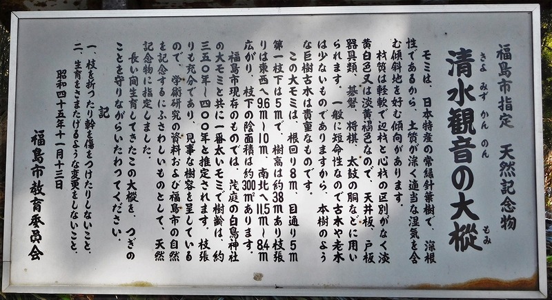 s-DSCN9997-t