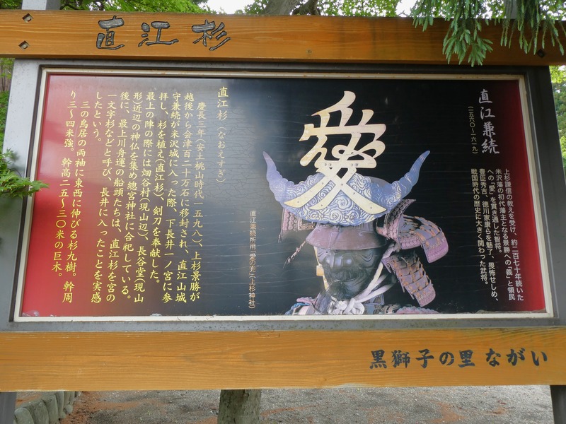 P1010996