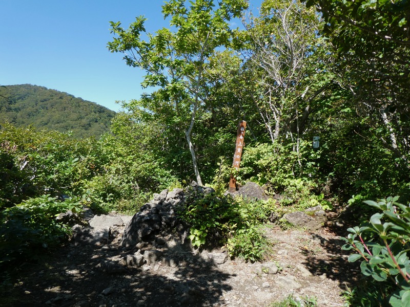 P1020384