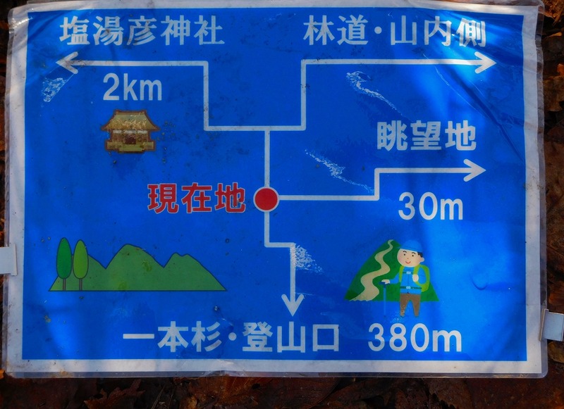 7132e654.jpg