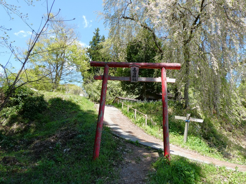 P1010344