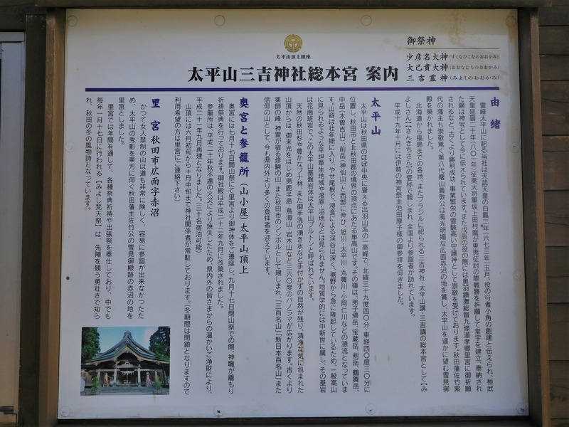 DSCN9310