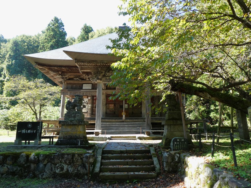 P1030355