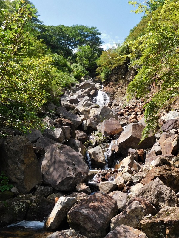76b86359.jpg