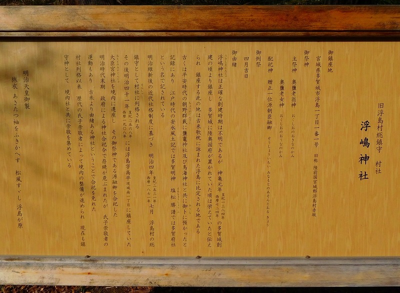 s-027-t