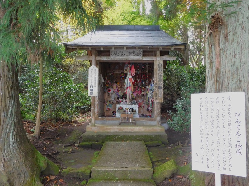 DSCN9590