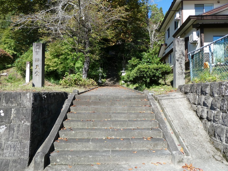 P1030393