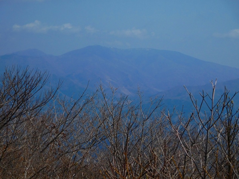7fa97302.jpg