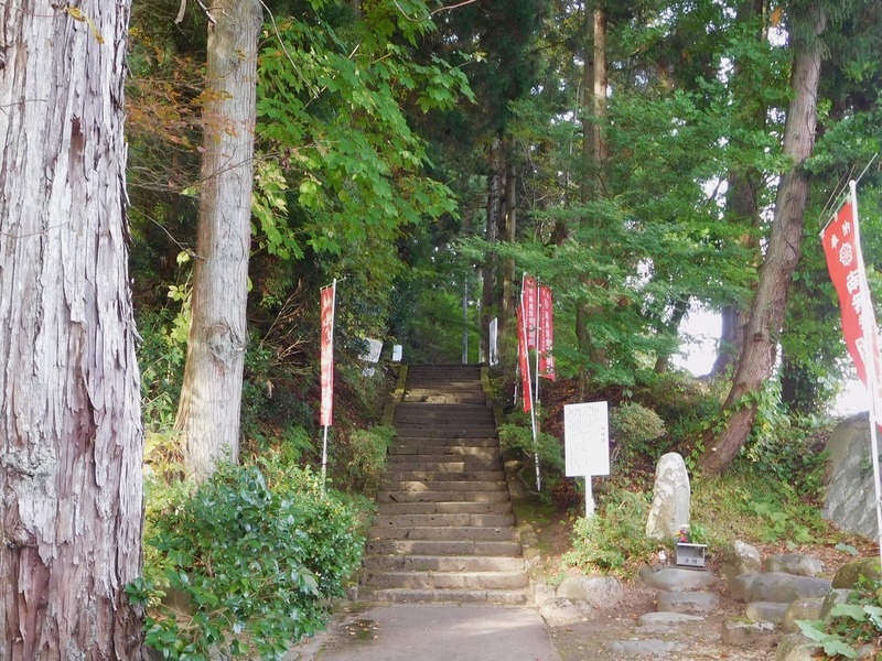 DSCN9589