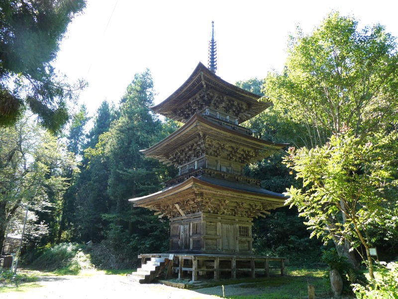 P1030358