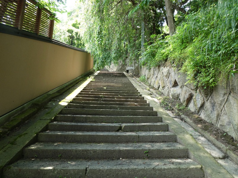 P1020124
