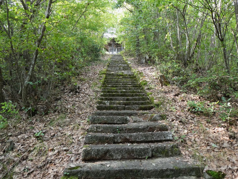 P1030250