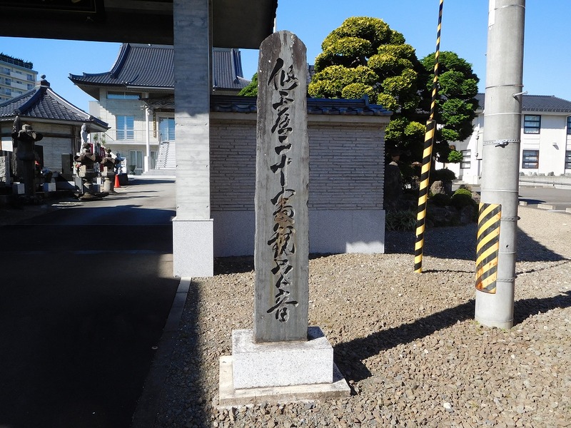 s-DSCN9549