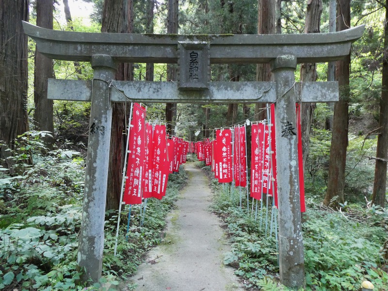 P1030184