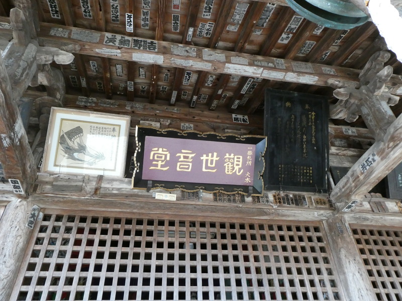 P1030567