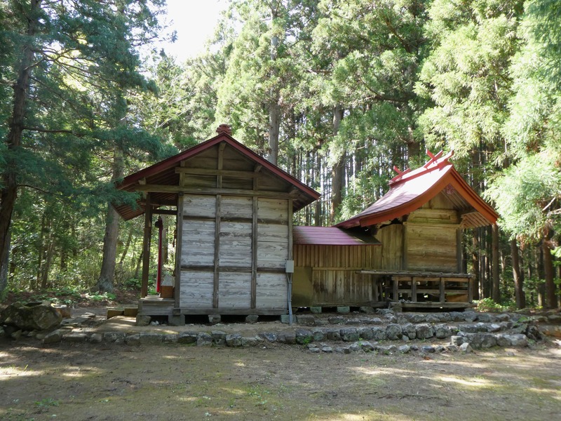 P1030741