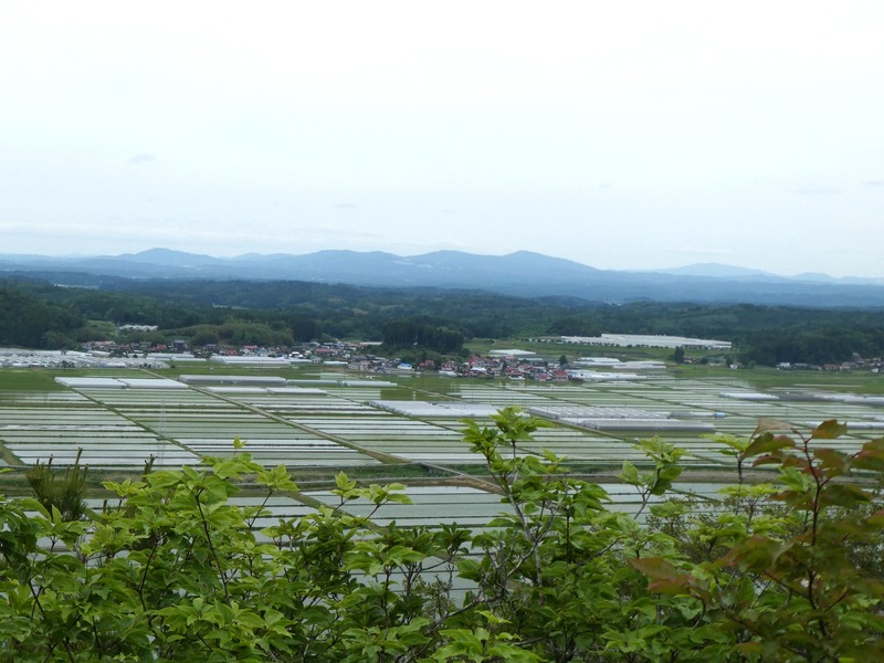 P1030807