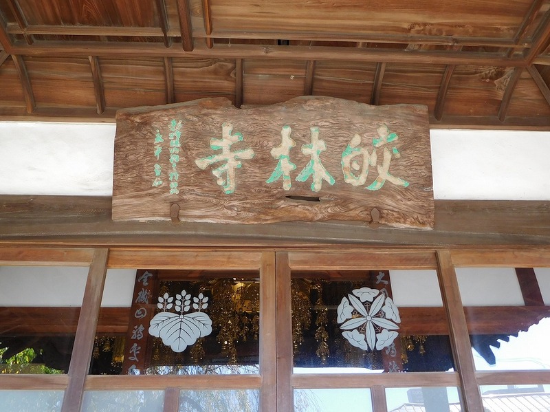 s-DSCN9545