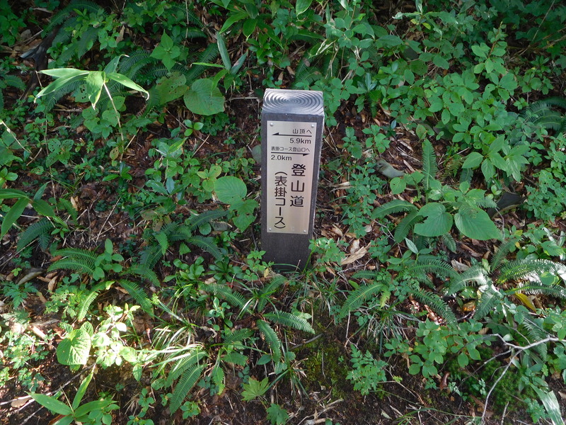 90456019.jpg