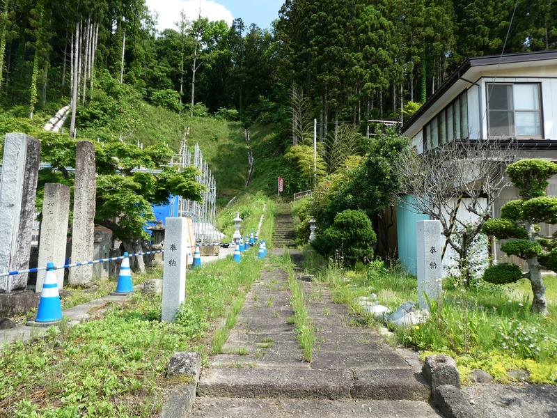 P1010856