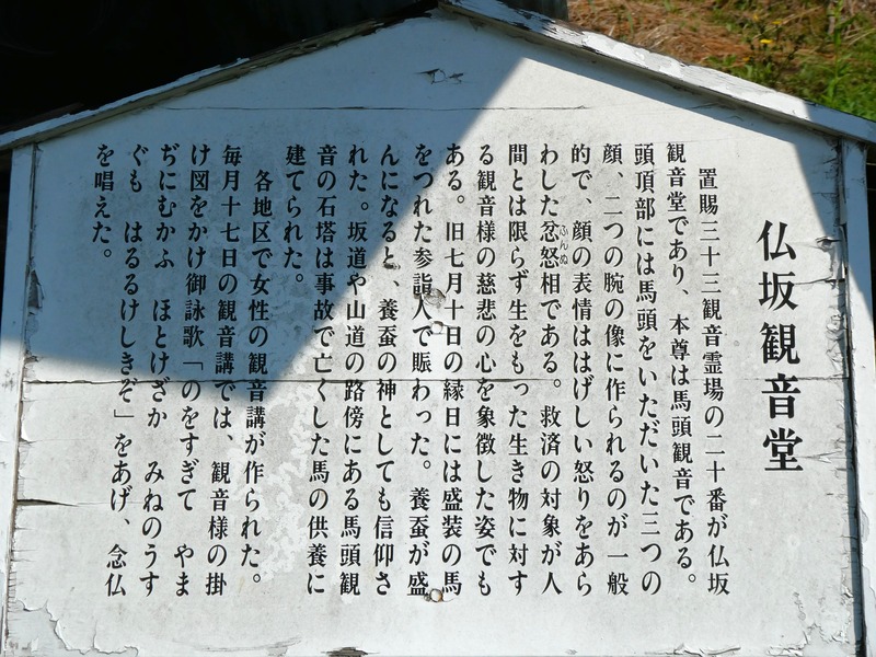 P1010844