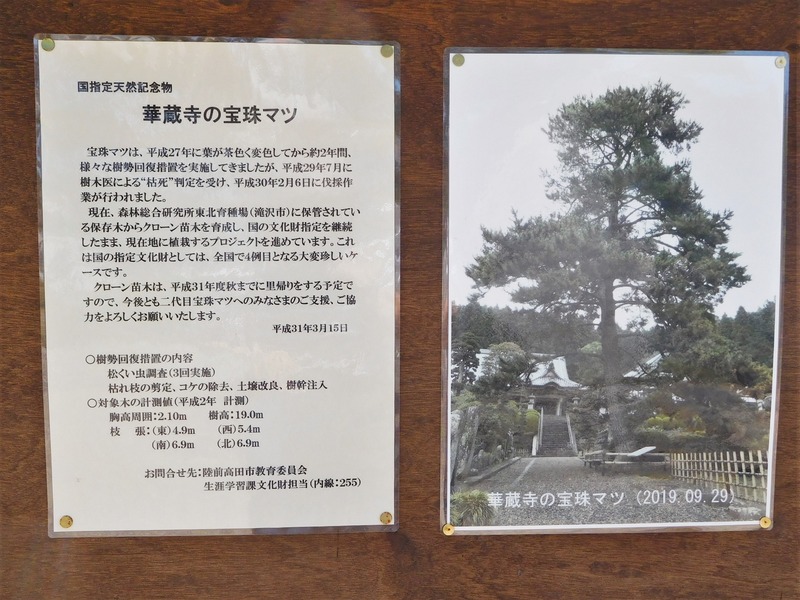 DSCN8950