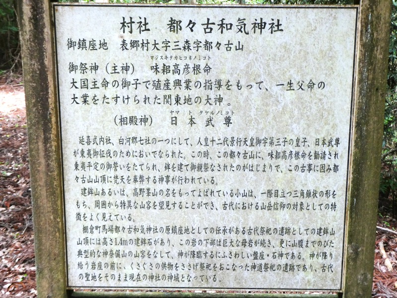 P1030825