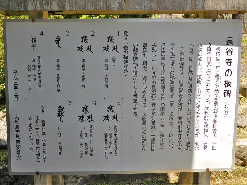 DSCN8987