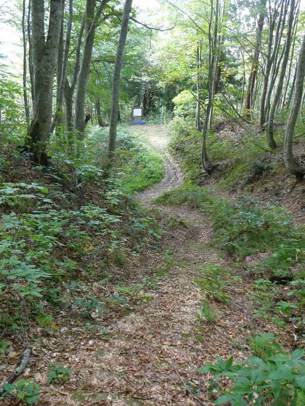 P1030273