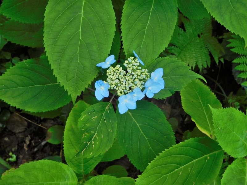 DSCN9322