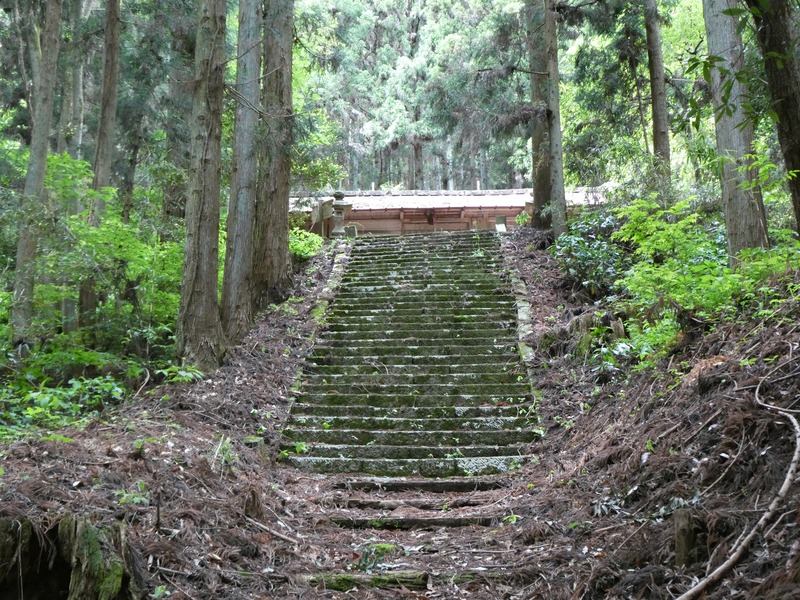 P1030827
