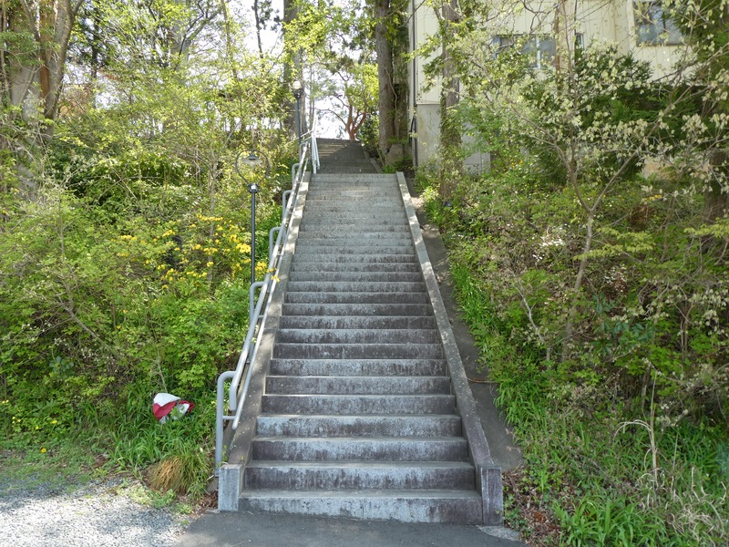 P1030698