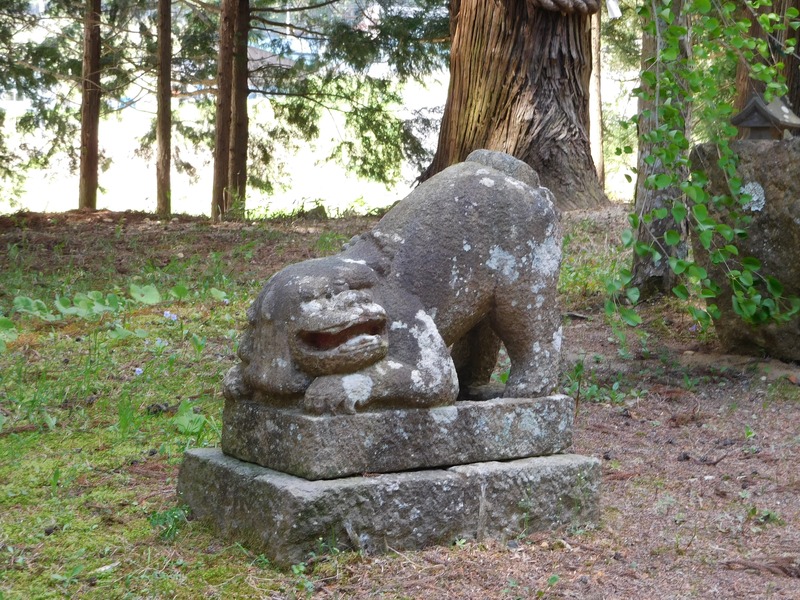 DSCN0343