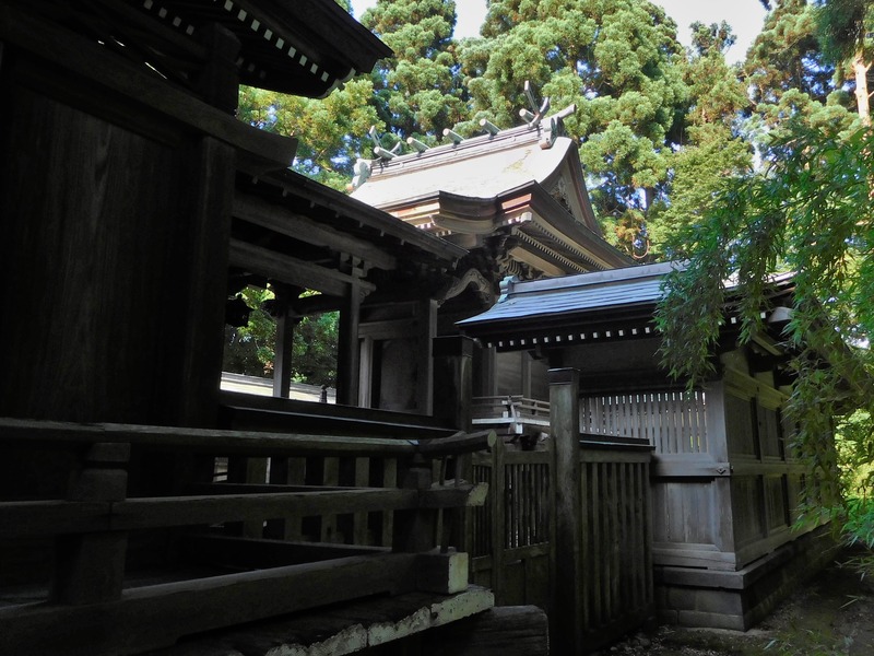 DSCN9373