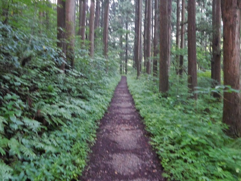 DSCN9257