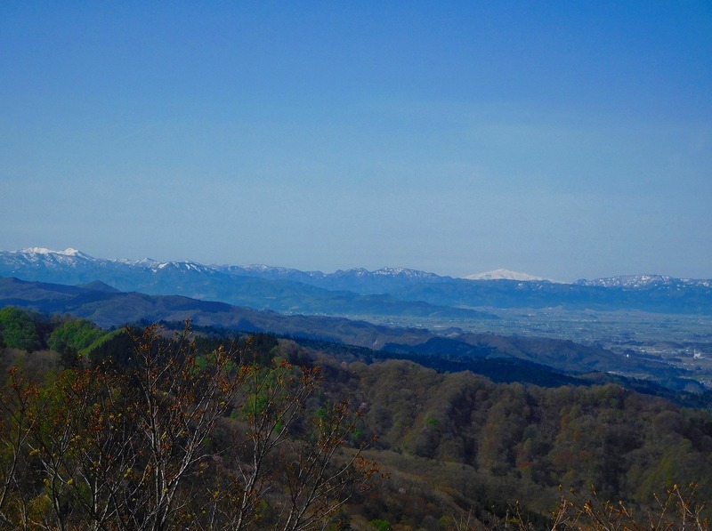 af04c3f5.jpg